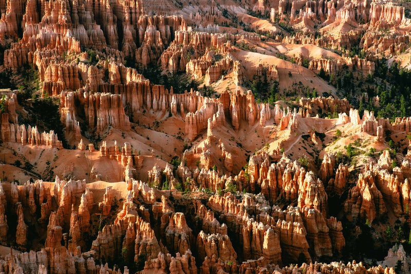 Hoodoos in Bryce Canyon National Park, Utah