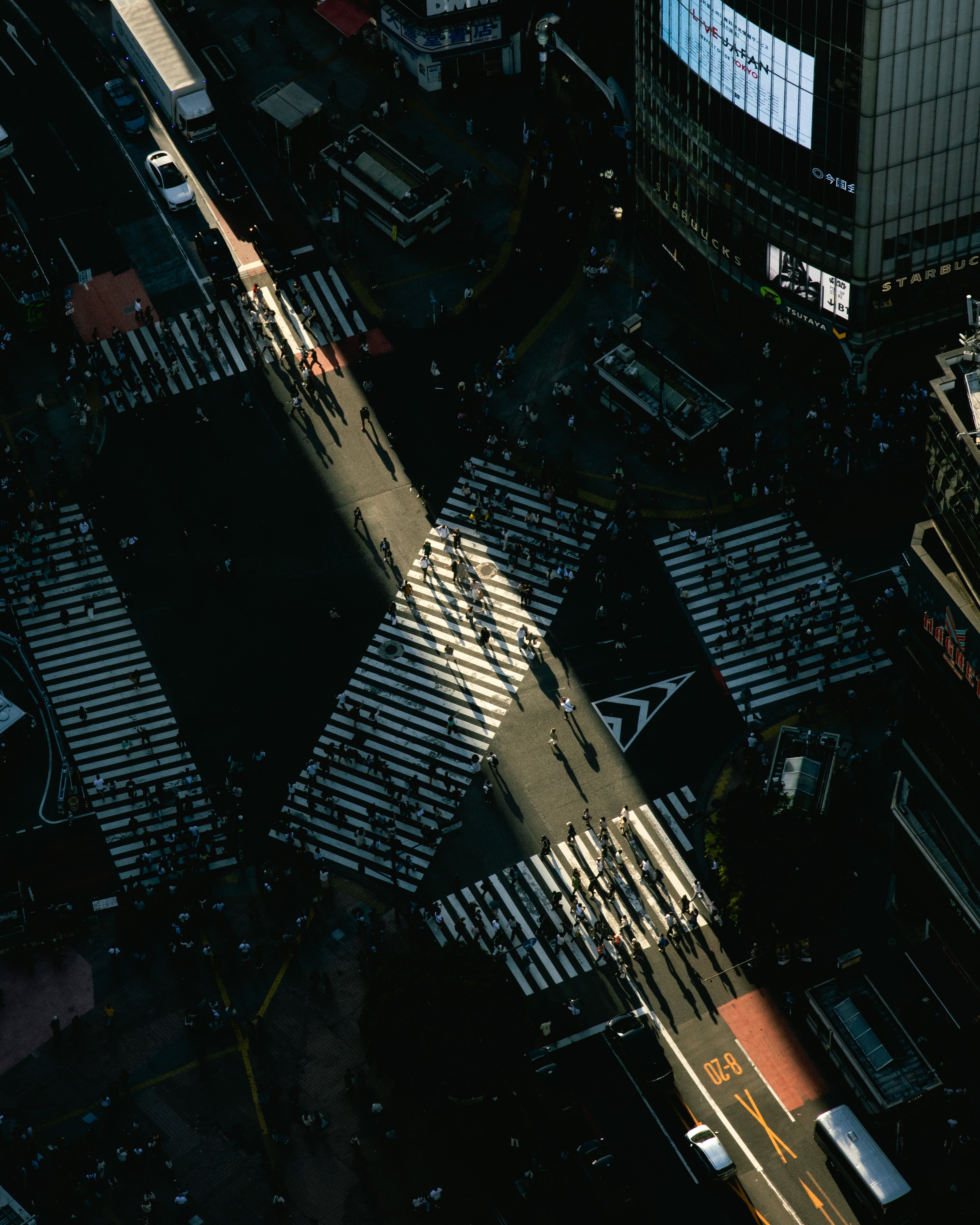 Shibuya Shadows