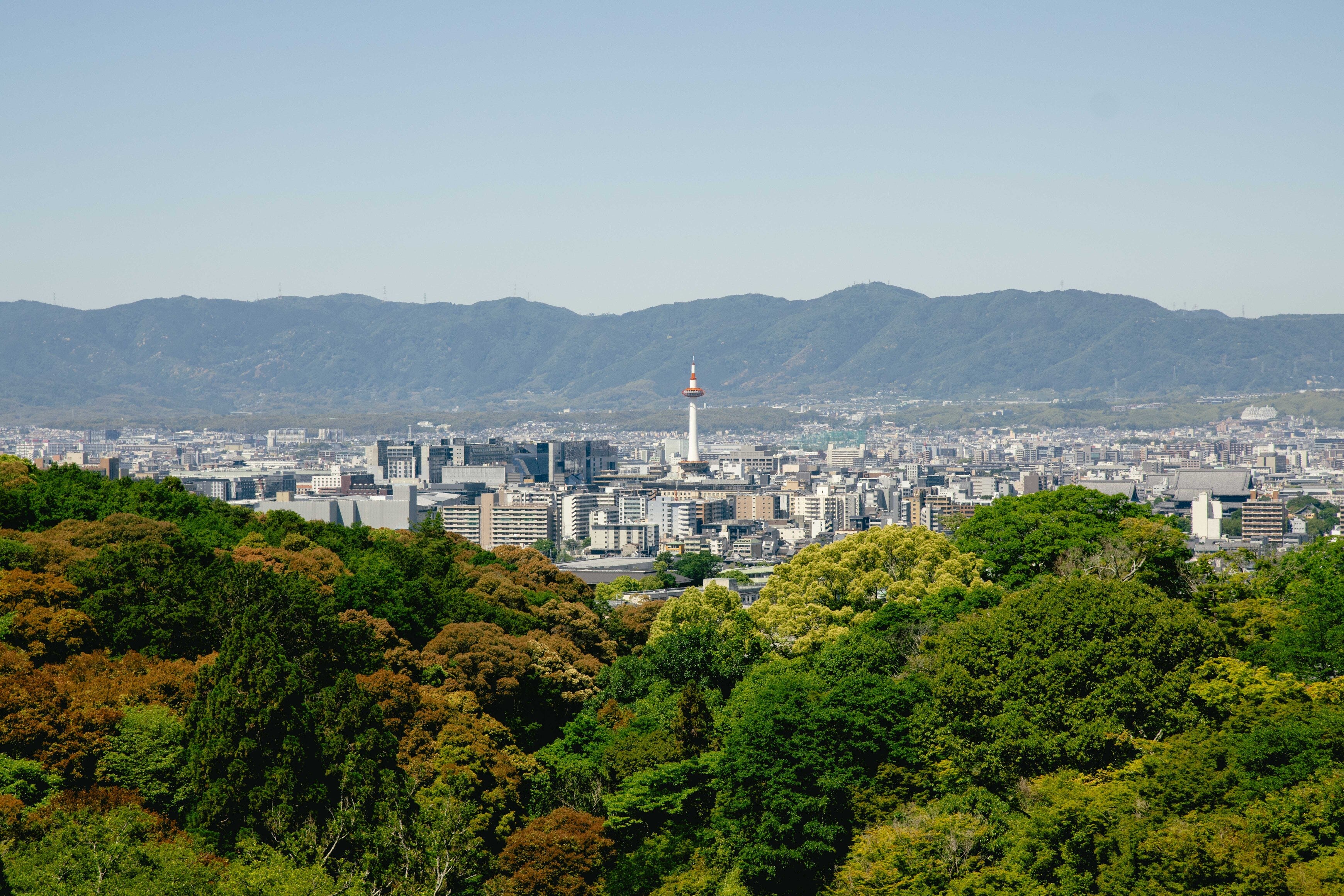 Kyoto Tower