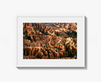 Bryce Canyon Hoodoos