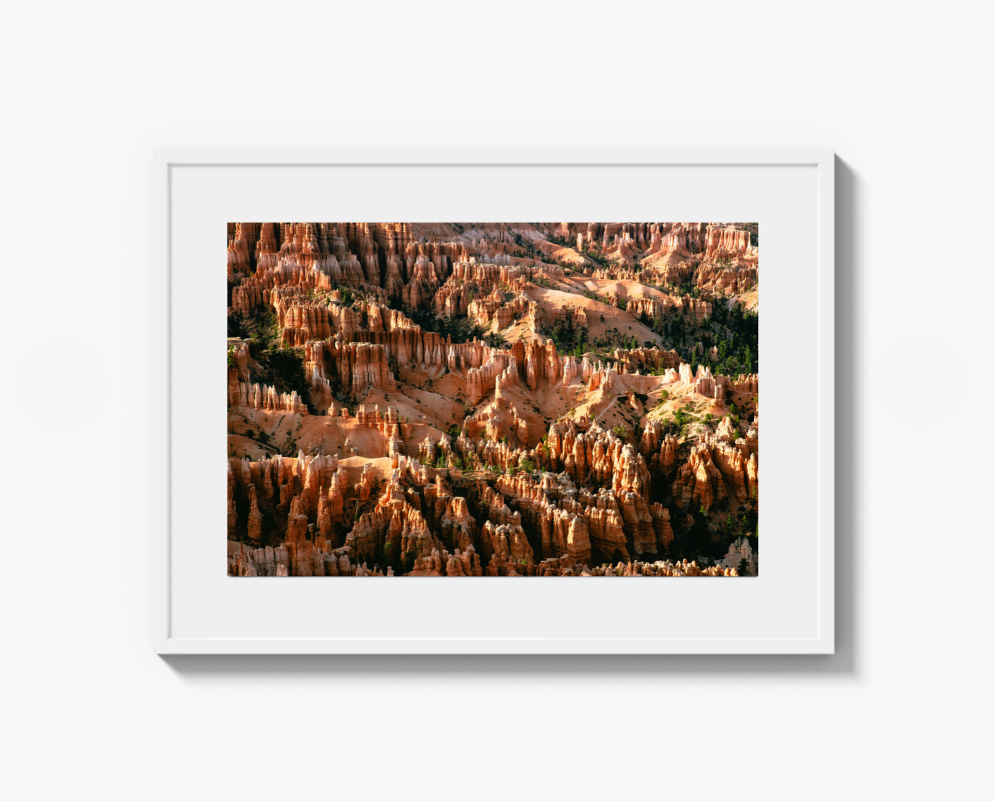 Bryce Canyon Hoodoos
