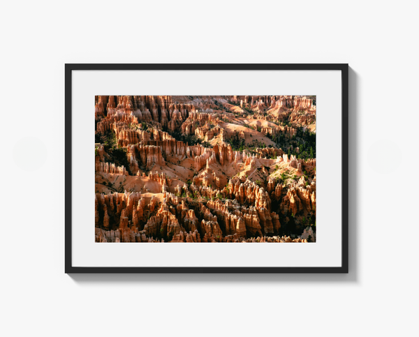 Framed photograph of Bryce Canyon on a white wall